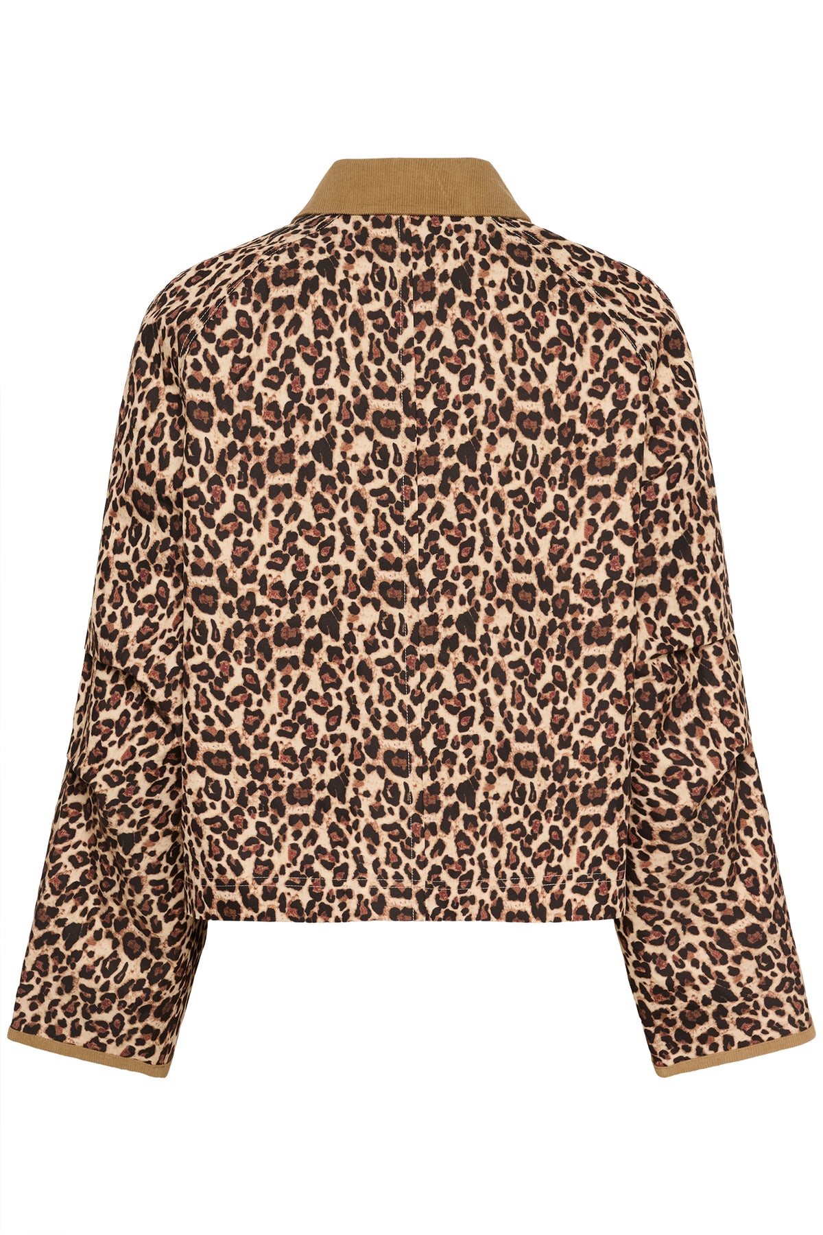 Saint Tropez Olivienne Leopard Print Jacket with Cord Collar, 30514666